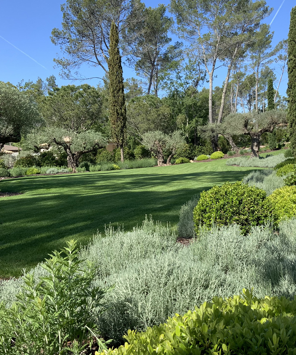 Auffray Paysage : aménagement paysager à Sainte-Maxime & Saint-Tropez (83)