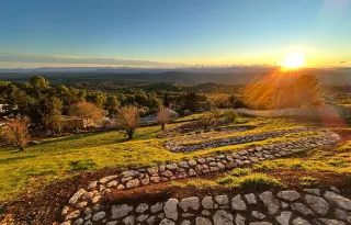 Un pavage romain revisité pour sublimer votre jardin