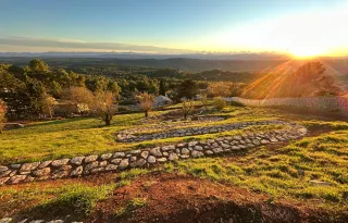 Pavage en dalles naturelles : élégance, durabilité et charme authentique