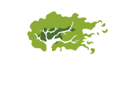 Arbre stylisé vert aux branches blanches avec un feuillage dynamique évoquant le vent ou le mouvement.